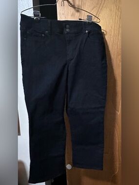 American Eagle Women’s Artist Crop Pants